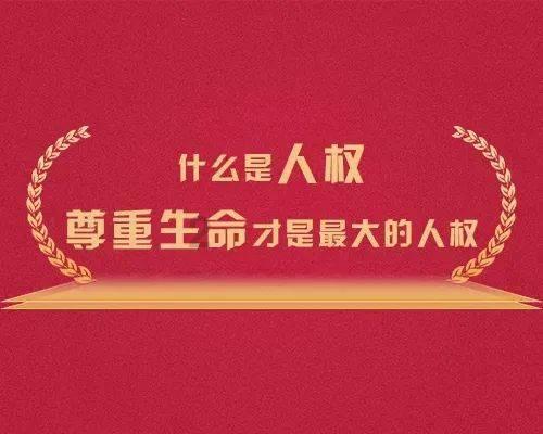 拯救精灵的土地8